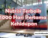 Nutrisi Terbaik 1000 Hari Pertama Kehidupan