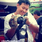 Orang Ganteng di Jogja