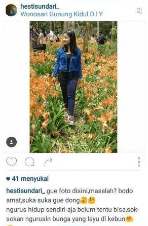 Kumpulan Gambar Meme Hesti Sundari di Kebun Bunga Amaryllis