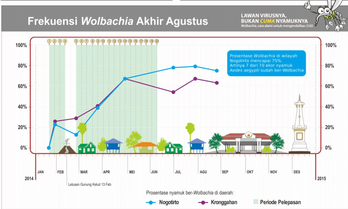 Grafik Persentase Nyamuk Aedes Aegypti ber-Wolbachia