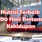 Nutrisi Terbaik 1000 Hari Pertama Kehidupan