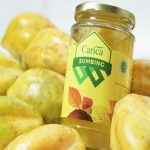 Carica Dieng Terbaik Dengan Rasa Yang Enak Dan Segar