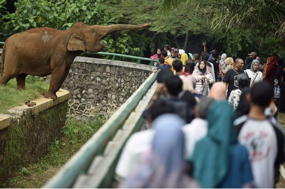 Kebun Binatang Ragunan